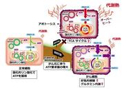 0829大阪大学_図2.jpg