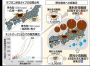 20250918_setsu29_01.jpg