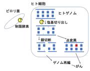 2538fig_r-thumb-1600xauto-82053.jpg