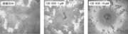 【図2】CB-839で処置されたイヌ消化器型リンパ腫細胞の顕微鏡画像.png