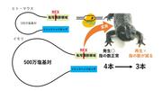 画像5.jpg