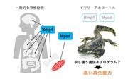 画像3.jpg