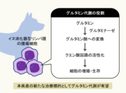 【図3】本研究成果の概要.png