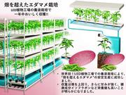 画像1.jpg
