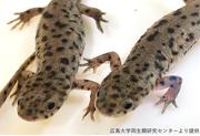 画像1.jpg