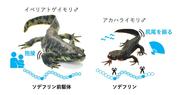画像4.jpg