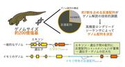 画像2.jpg