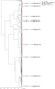 20251001_oit19_05.png