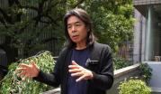 東京藝術大学学長　日比野克彦氏.jpg