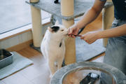 DSC_1123.jpg