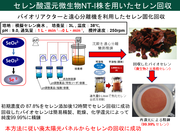 図2_廃太陽光パネルからセレンを回収する一連の方法.PNG