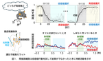 【玉川大学脳科学研究所 研究成果】大脳基底核回路の新たな機能を発見！ ―望ましいはずの行動で結果が出ないときに代替案の模索を継続する―