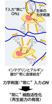 fig2.jpg