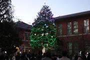 241220_chapel_news_tree3.JPG