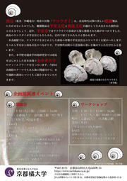 チラシ案20251203企画展「海上の道」から探る 平安京と南島文化_2.jpg