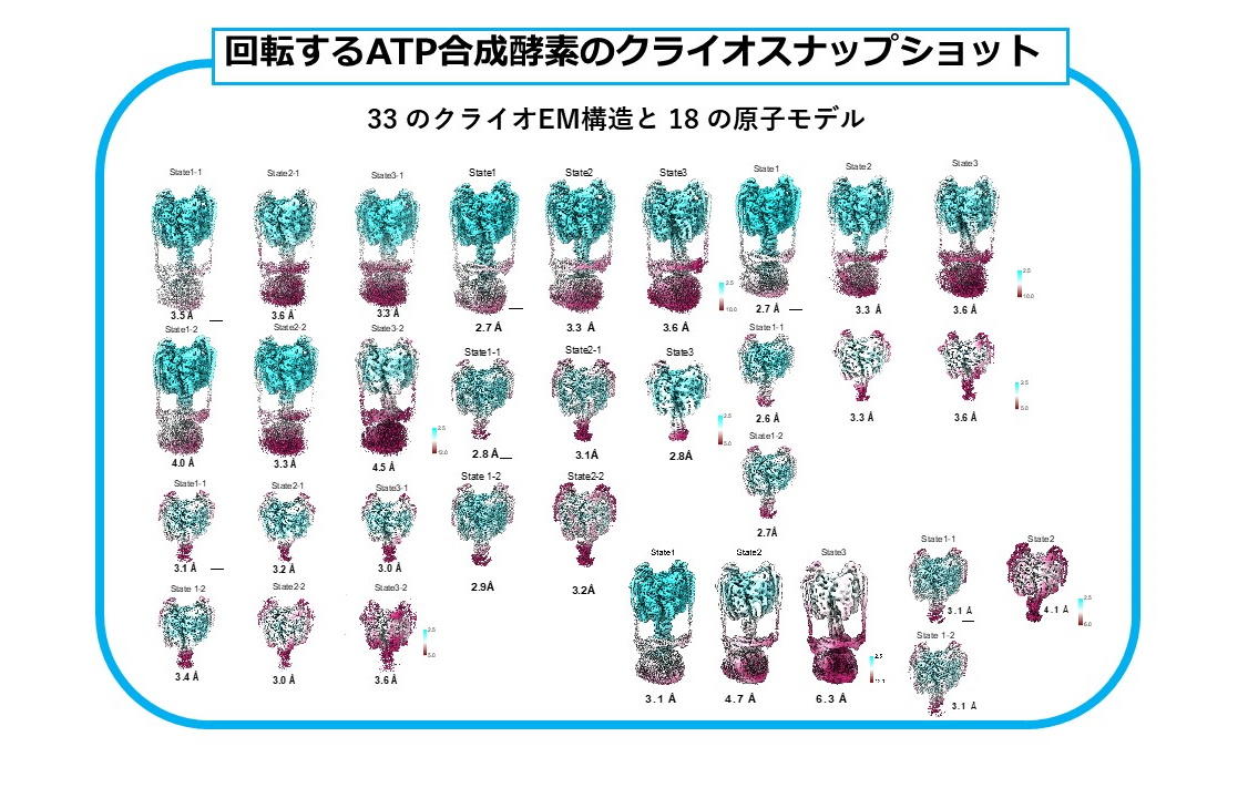 【京都産業大学】クライオ電子顕微鏡を使いV/A-ATPaseが回転する仕組みを解明--英国科学雑誌「Nature Communications」（オンライン版）に掲載