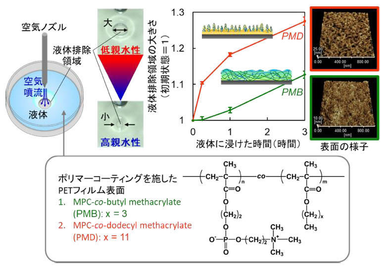 生体接触型医療機器コーティング材料の新しい評価法 -- ポリマーコーティングの2段階の水和挙動を簡単に検出 --