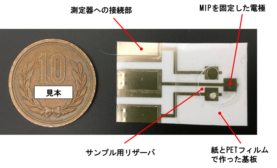 【芝浦工業大学】ハイリスク薬の血中濃度をリアルタイムに検出する使い捨てセンサチップを開発