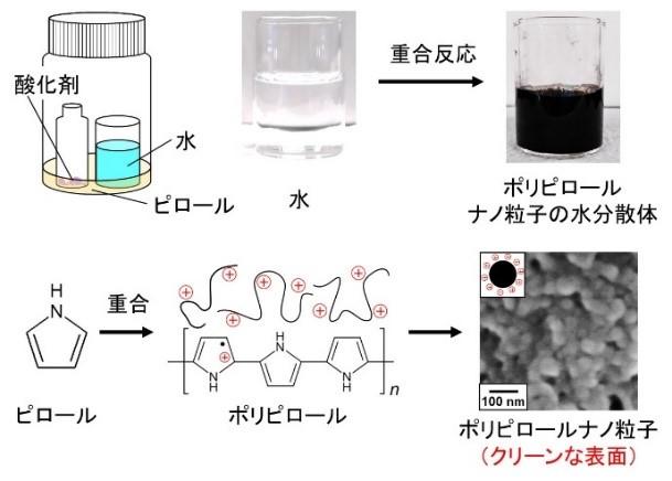 導電性高分子ナノ粒子 環境低負荷の合成法開発　媒体に水を使い、表面もクリーンな仕上がり--大阪工業大学