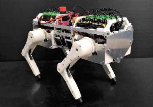 【大阪大学】歩くネコをロボットで再現、反射回路を新発見 ～四脚歩行ロボットで動物の生体解明へ～