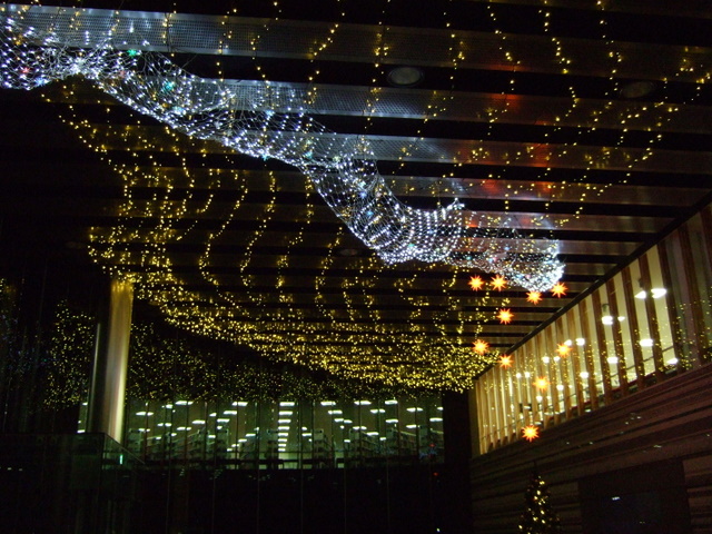 幻想的な冬の夜を演出──帝京大学八王子キャンパスに「2009年X'masイルミネーション」が完成