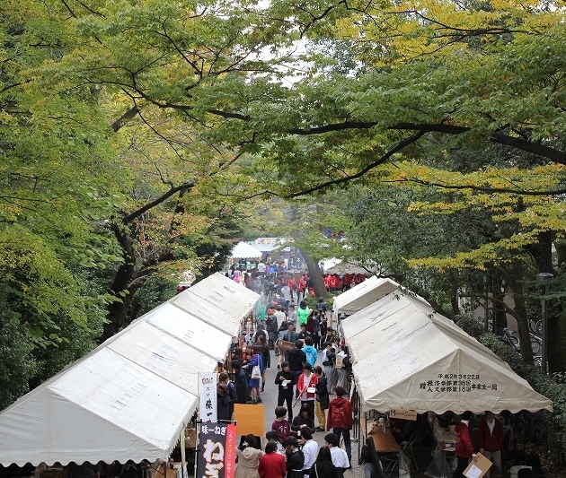 武蔵大学が11月5日(土)・6日(日)に第64回白雉祭（しらきじさい）を開催