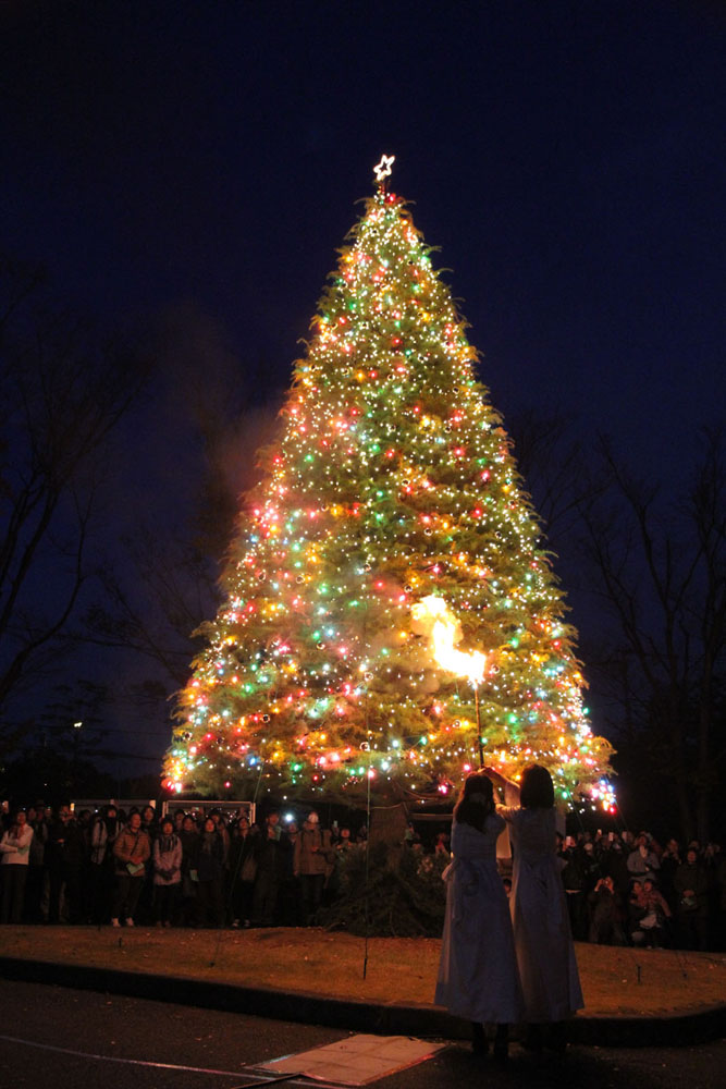 聖学院大学が11月30日にクリスマスツリー点火祭を開催 -- 1月6日まで毎晩点灯