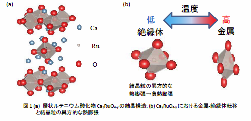 温めると縮む新材料を発見 -- 精密機器や電子デバイスなど広汎な応用に期待 -- 名古屋大学