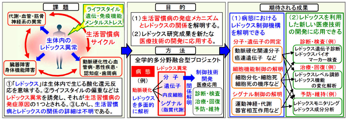 昭和大学の「医系総合大学の実績を基盤とした生体内レドックス制御機構解明と臨床応用：健康長寿に貢献する大学創成」が文部科学省「私立大学研究ブランディング事業」に選定