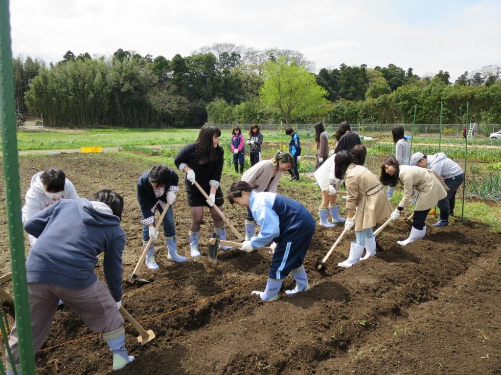 川村学園女子大学があびこ型「地産地消」推進協議会との地域連携授業を展開 -- “農業女子”を育成中