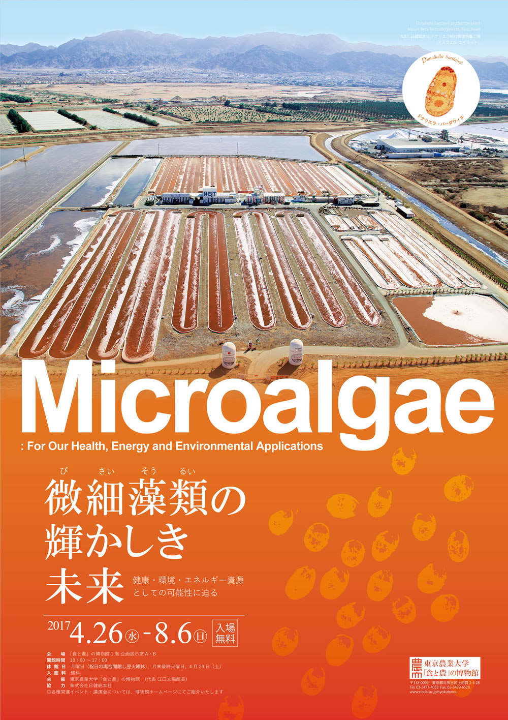 「微細藻類（びさいそうるい）の輝かしき未来」 -- 東京農大「食と農」の博物館 特別展示開催