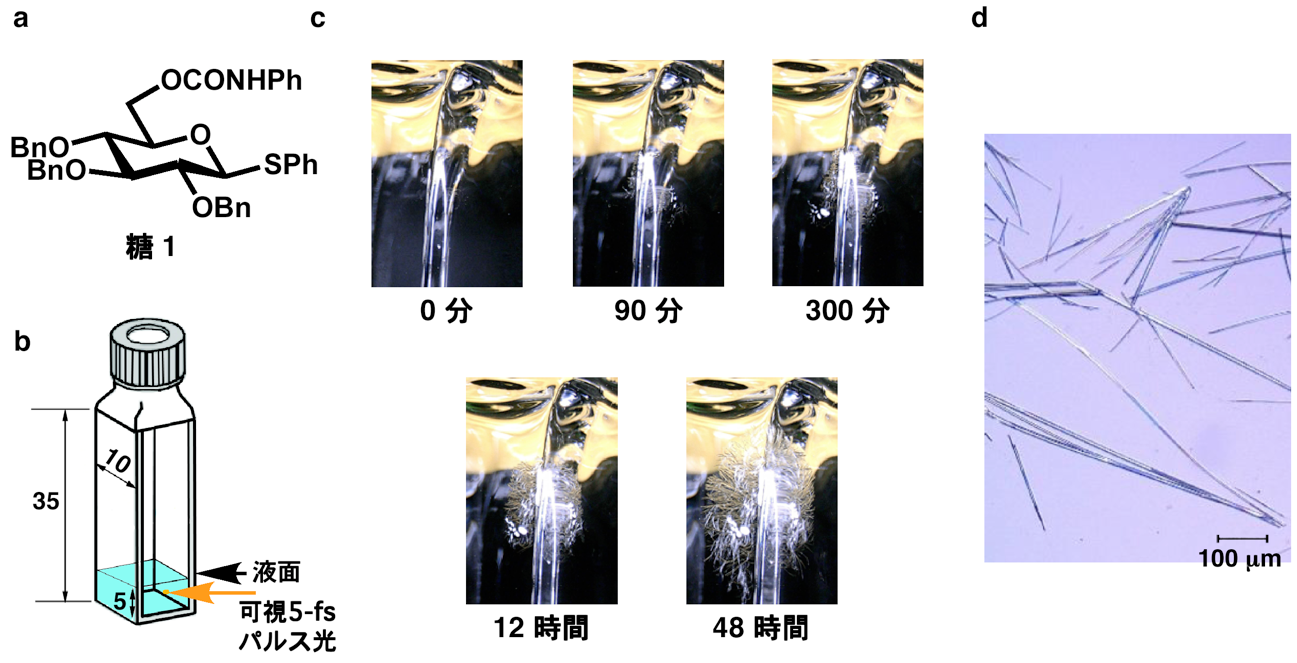 神奈川大学　工学部　岩倉いずみ准教授（化学教室・工学研究所）らの研究グループの論文がNature姉妹紙の『Communications Chemistry』に掲載されました