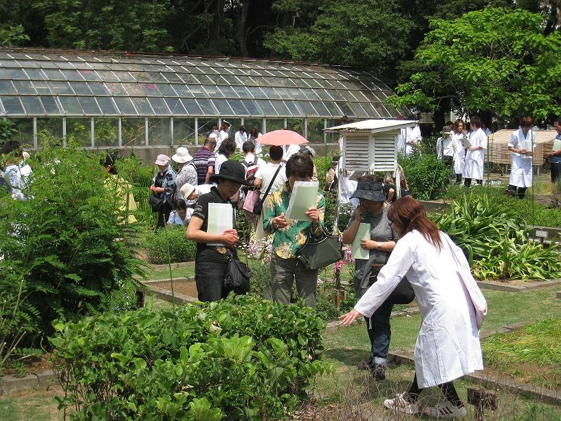 学生サークル「生薬部」のメンバーが、５月２２日（土）に大学付属の薬草園を案内――東邦大学