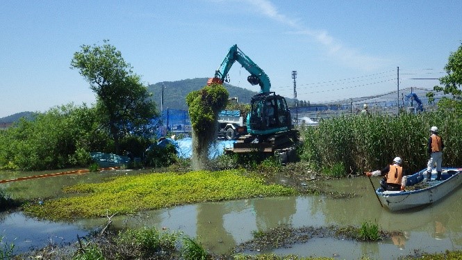 滋賀県立大学で、水陸両生の侵略的外来植物の管理に関するワークショップを開催