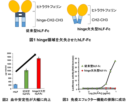 バイオ医薬品の血中安定性を向上させる副作用の少ない技術を開発 -- 東京工科大学大学院バイオニクス専攻