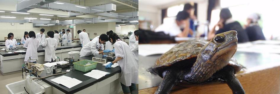 東邦大学が夏休み企画として、中高生対象の「理科教室」「薬学教室」「遺伝子診断」を開催