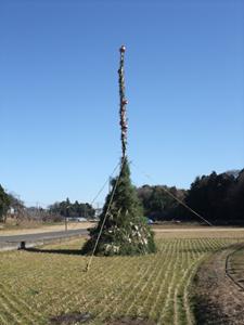 明治大学が１１月７日（日）まで生田図書館にて企画展『黒川の自然と文化』を開催　～“都心に一番近い里山”の魅力を写真で紹介