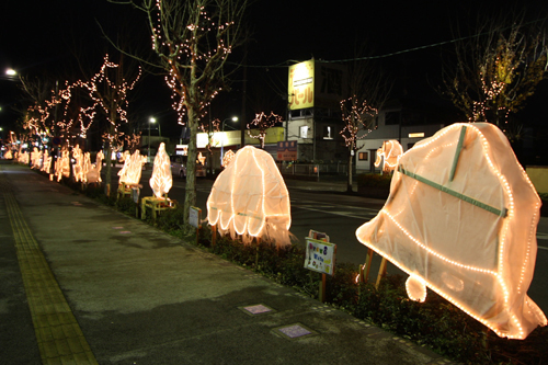 みやしろイルミネーション2010に日本工業大学の学生が実行委員として参加