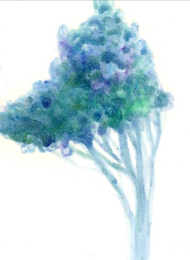 樹木にまつわるプロや学生の作品を展示──明治大学の学生が企画展『樹木　木と人の心』を５日（日）から開催