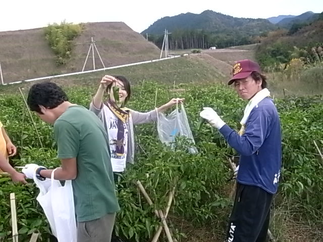 桃山学院大学の地域貢献プロジェクト――学生らが和泉市小川東農業団地およびその周辺で山林整備ボランティアを実施