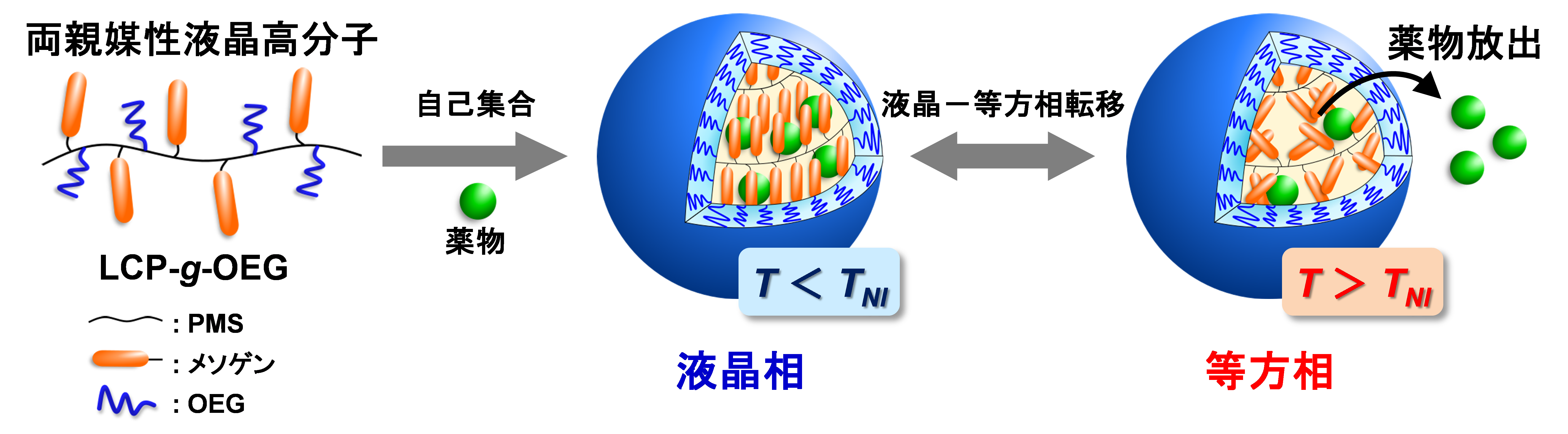 ◆関西大学化学生命工学部・宮田隆志研究室が 