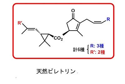 田辺陽・関西学院大学理工学部教授らのグループが、除虫菊の天然殺虫成分の完全化学合成に成功 ～ 天然殺虫剤の実用的な人工生産への期待 ～