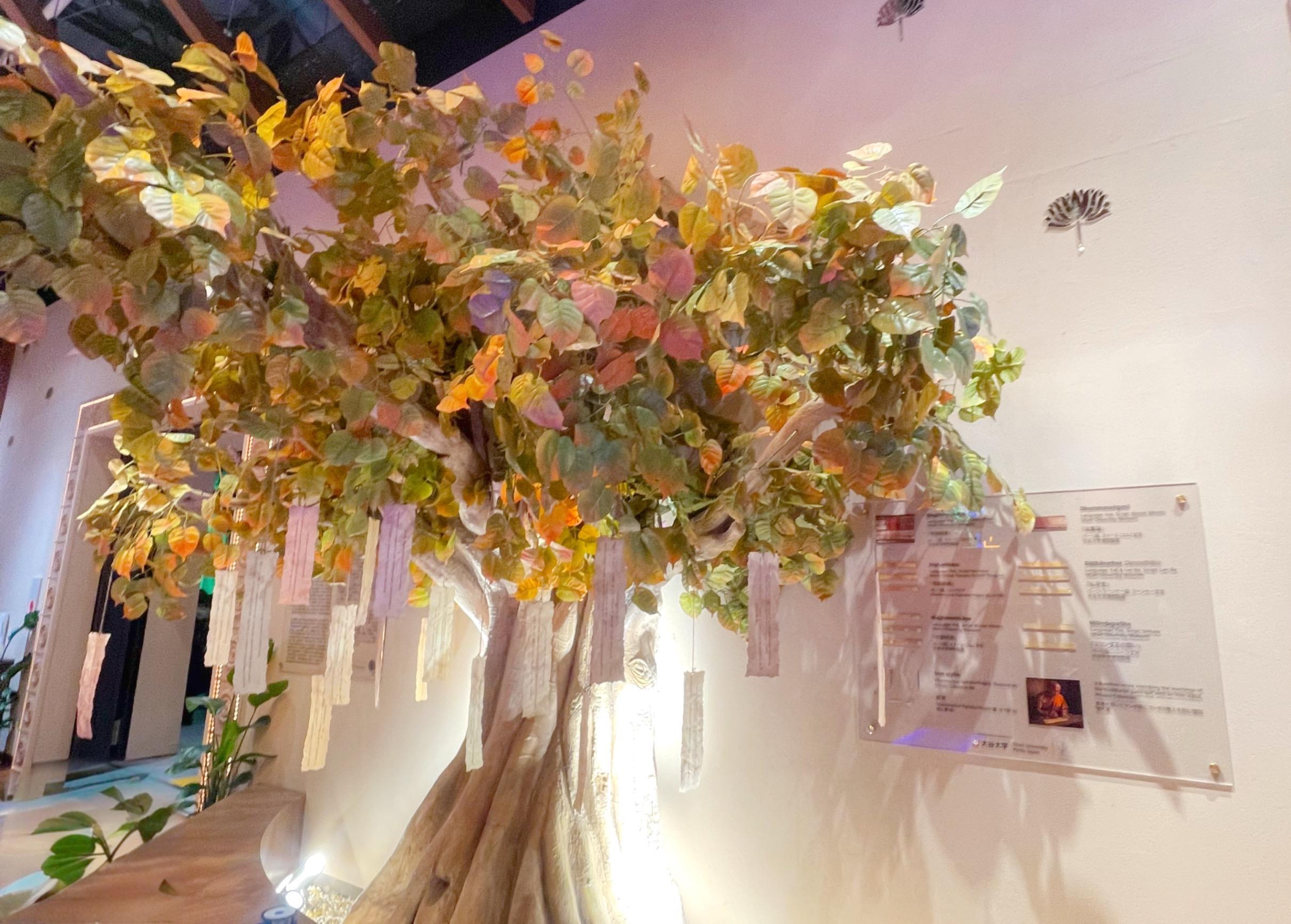 【大谷大学】大阪・関西万博インド館 連携記念特別企画／インド館展示に係る生涯学習講座を開講（共催：在大阪・神戸インド総領事館　Indira Gandhi National Centre for the Arts）