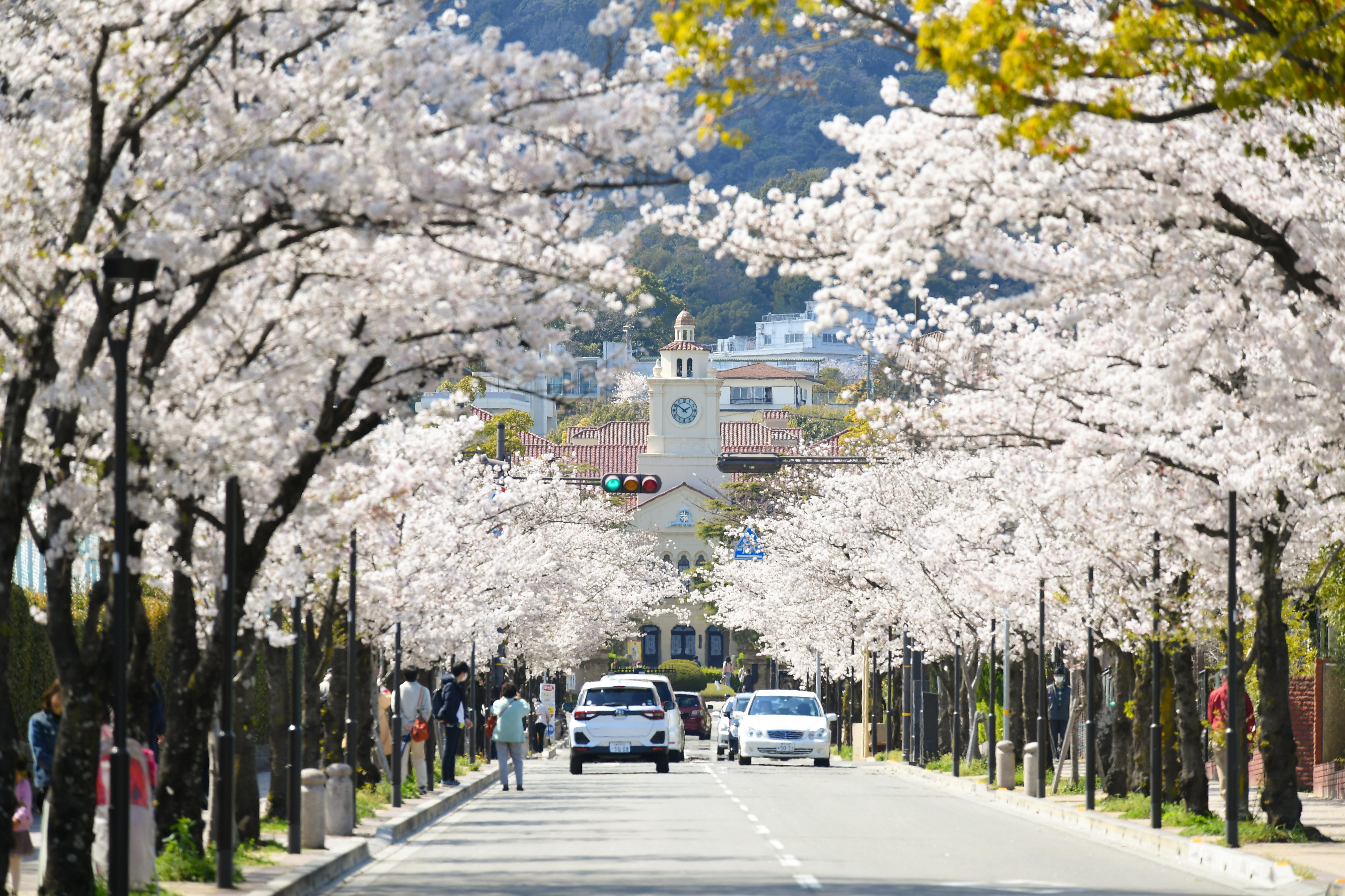 関西学院大学　西宮上ケ原キャンパス周辺が西宮市の景観地区に指定されました