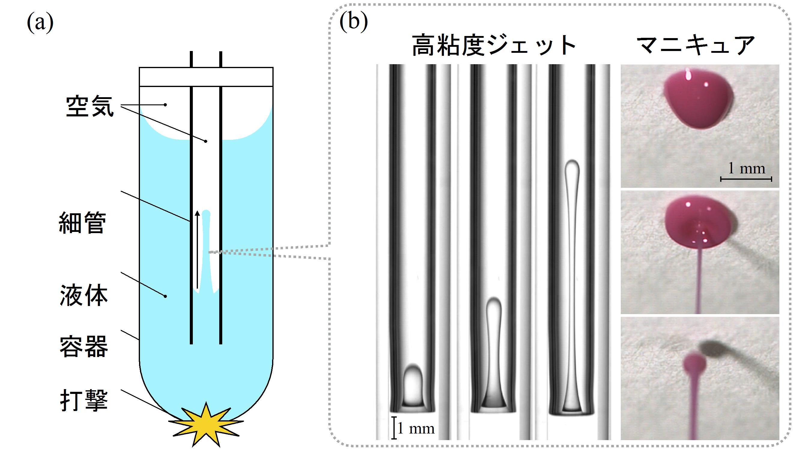 東京農工大学が蜂蜜のような高粘度液体を射出可能な装置を開発 -- 3Dプリンタなどの次世代インクジェット技術や医療分野への応用に期待