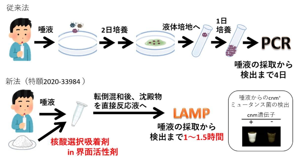 広島国際大学と岐阜医療科学大学、奈良県立医科大学の共同研究チームが、病原菌の遺伝子検査時間を劇的に短縮する新技術を開発