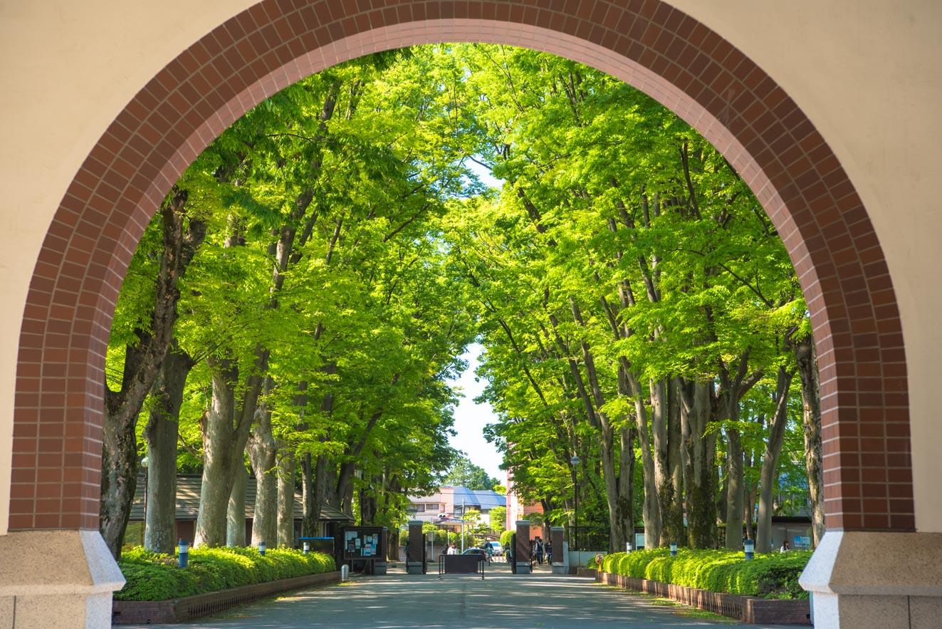 成蹊大学が「WEB卒業式」特設サイトを開設 -- 新型コロナウイルス感染拡大の影響で中止となった卒業式に代わり卒業生に祝意