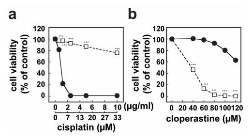 咳止めの既存薬が抗がん剤耐性のがん細胞を傷害することを発見 ～ がん治療に新たな光、承認薬の転用で早期適用に期待 -- 東京工科大学応用生物学部