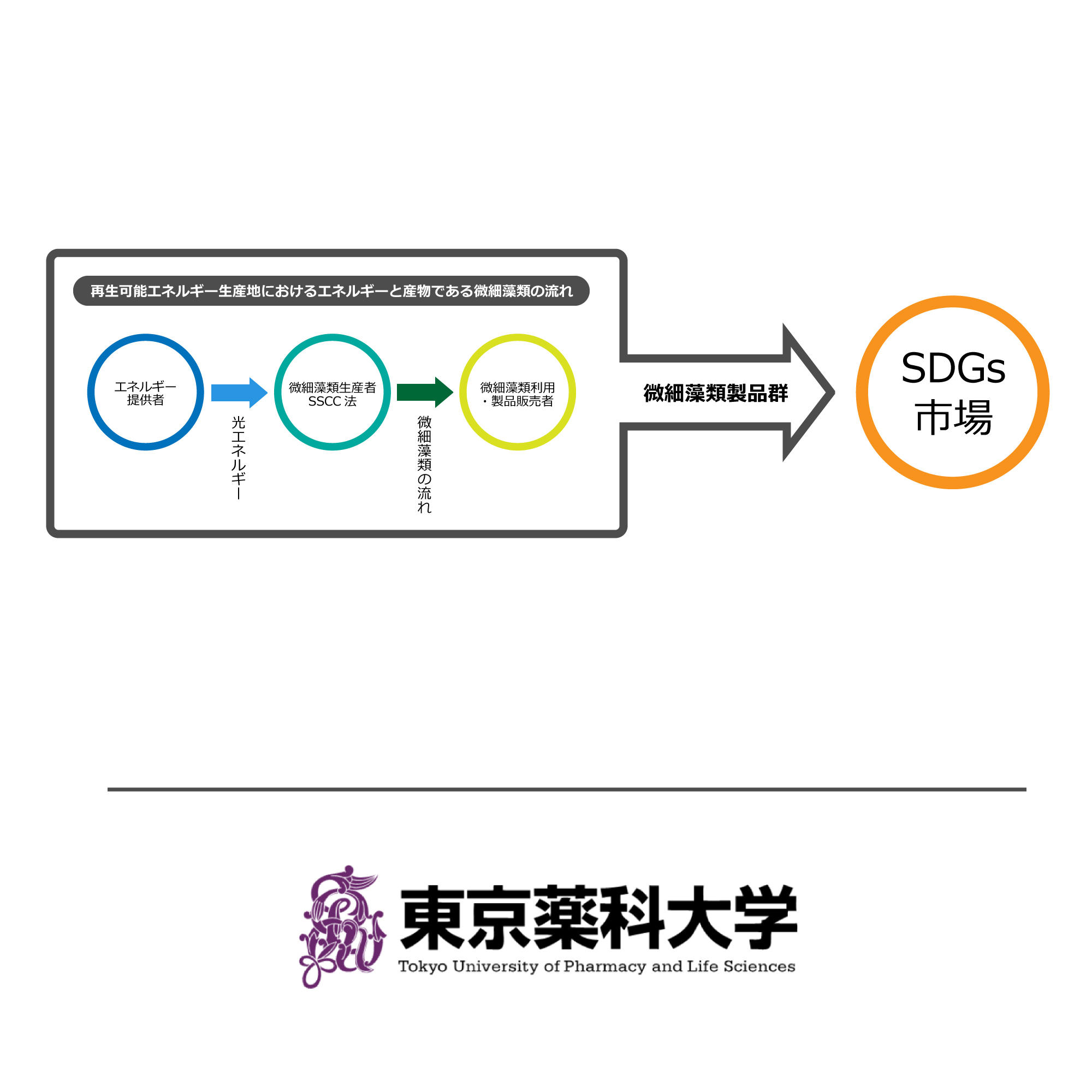 東京薬科大学から大学発ベンチャー企業「合同会社フォトシンテック・ラボ」が誕生　～微細藻類の大量生産が国内どこでも可能に～