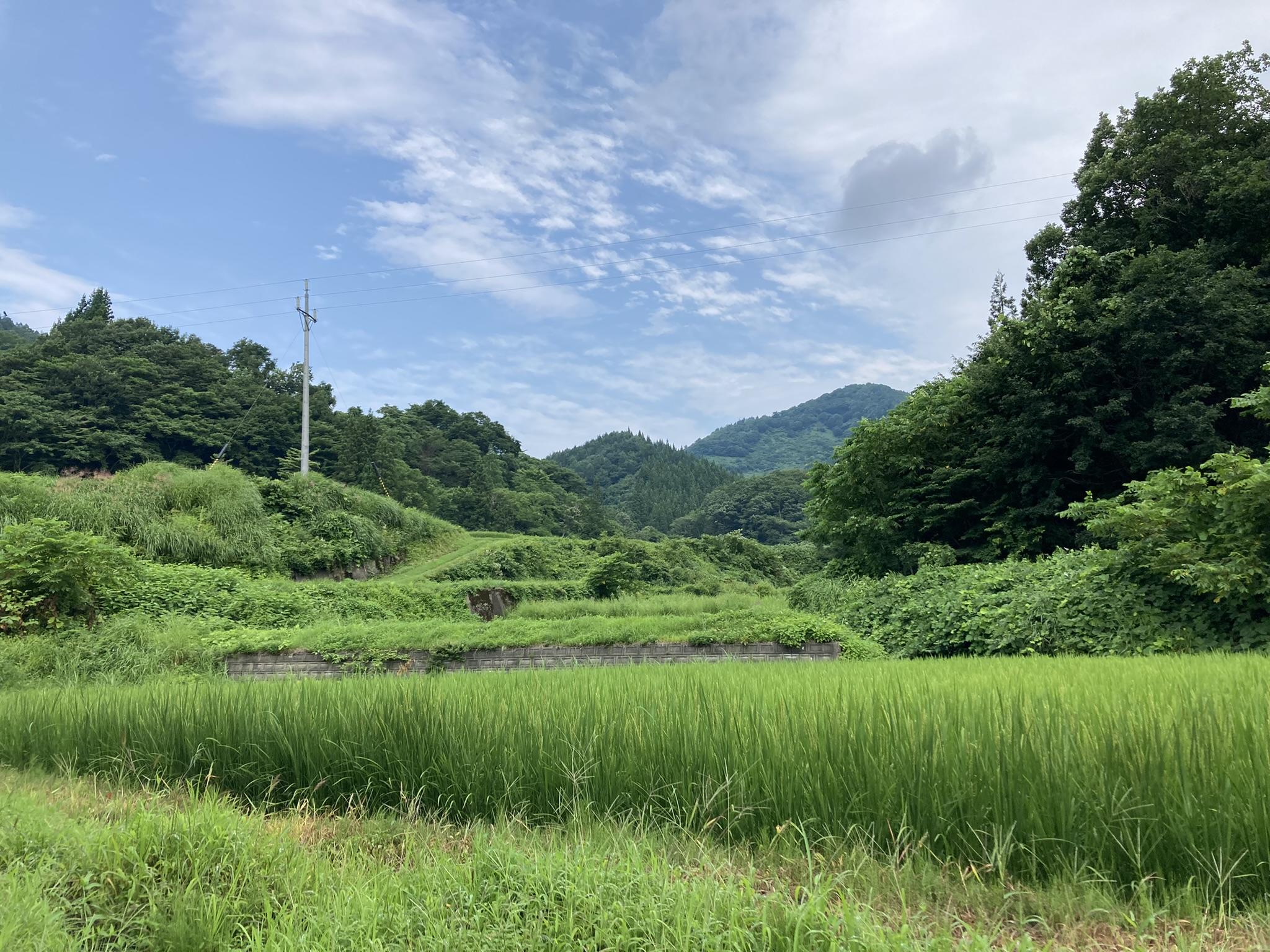 弘前大学が農林水産省「つなぐ棚田遺産」感謝状を受領 -- 青森県からの受託研究による黒石市大川原地区での活動が評価